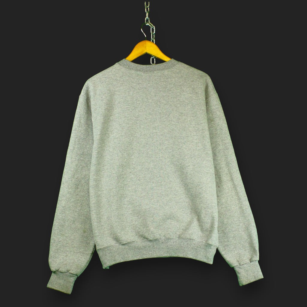 Champion Vintage UALBANY Pullover