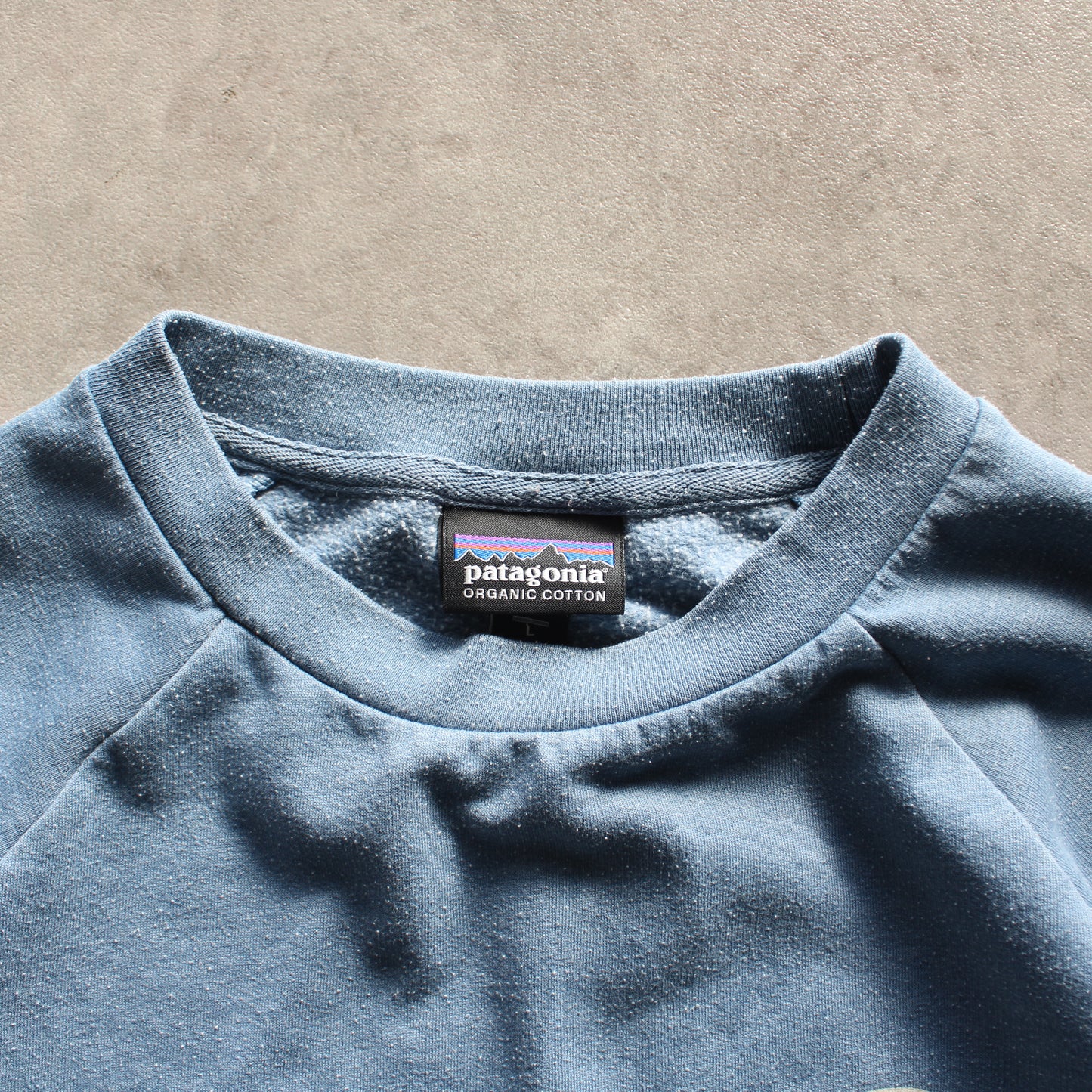 Patagonia Printed Crewneck – Light Blue (Woman-L)
