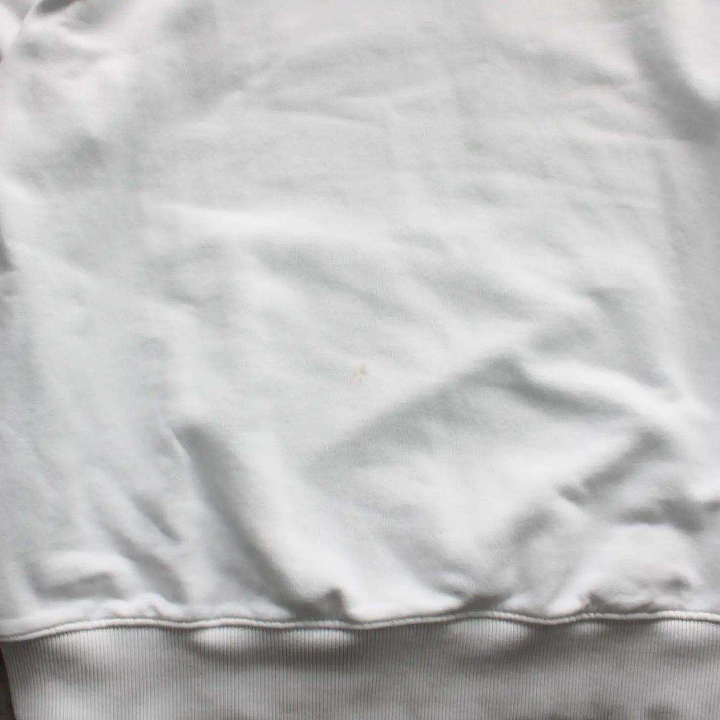 Dickies Embroidered Hoodie – White (Man-L)