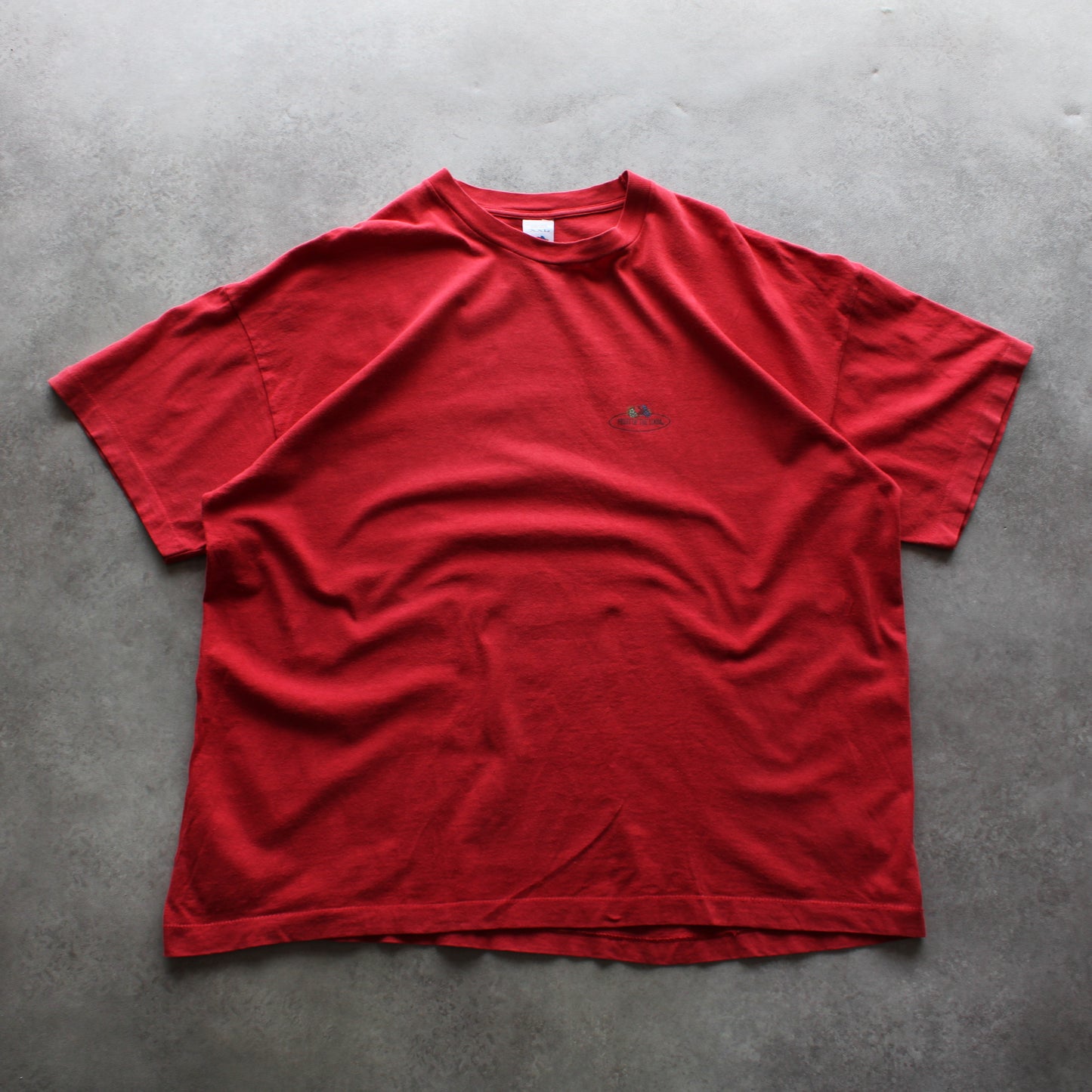 Fruit of the Loom T-Shirt mit Logo-Aufdruck (Herren, XXL)