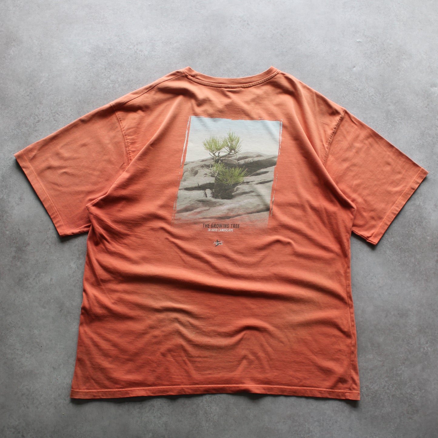 Maito Printed T-Shirt (Man-XXL)