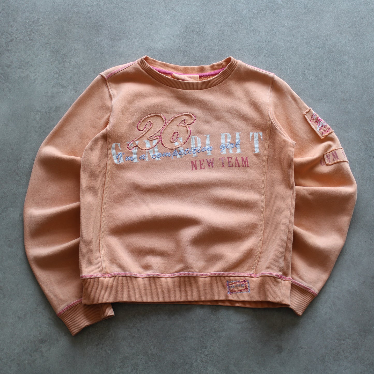 Champion Printed Crewneck Sweater (Kid-150cm)