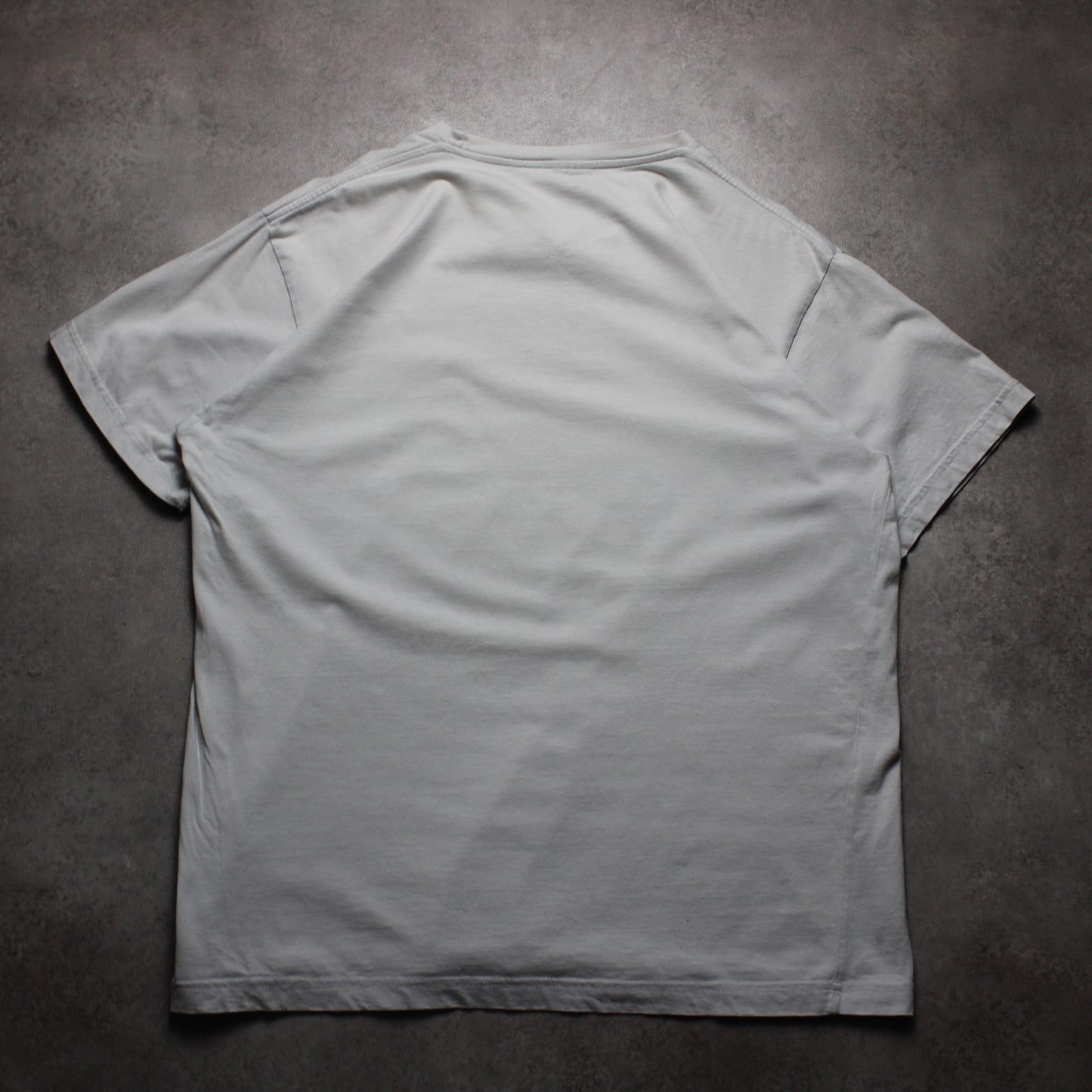 Champion T-Shirt (Herren, L) 