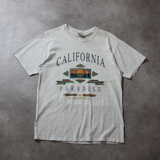 Hanes Vintage California Printed T-Shirt (Men-M)