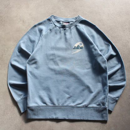 Patagonia Printed Crewneck – Light Blue (Woman-L)