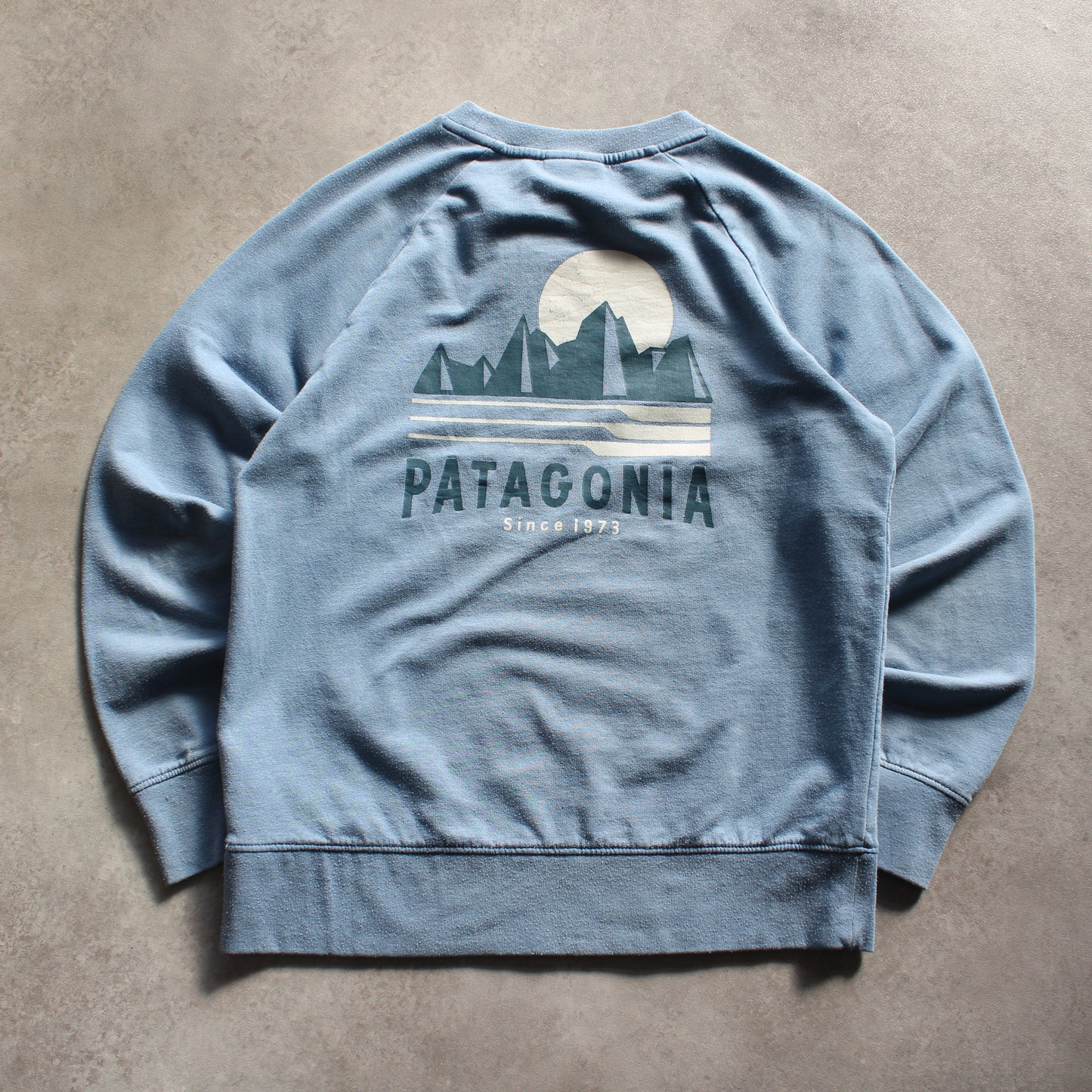 Patagonia Printed Crewneck – Light Blue (Woman-L)