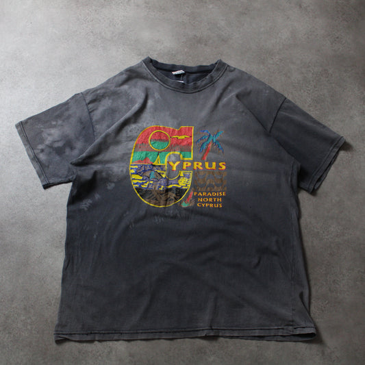 Rapid Cyprus Vintage T-Shirt (Herren-XL) [DISTRESSED]