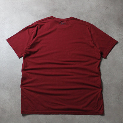 Under Armour T-Shirt mit kleinem Logo (Herren, L)
