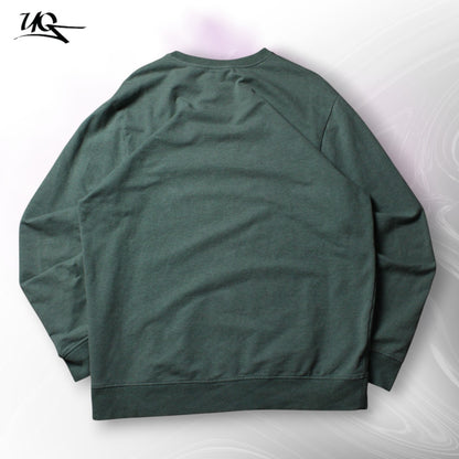 Patagonia Pullover (Herren-L) 